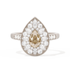 Pear Mosaic
