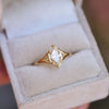 Split Shank Champagne Moval Diamond Solitaire